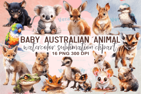 Baby Australian Animal Watercolor Clipart Illustrations