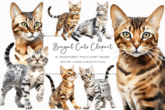 Bengal Cat Watercolor Clipart for Brand Illustrations