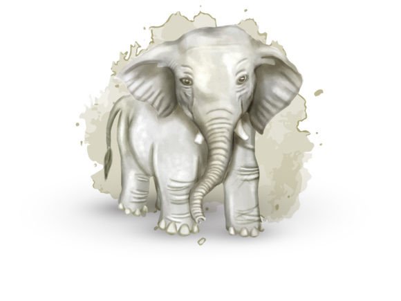 Evaluating Elephant Watercolor Clipart for Embroidery