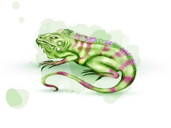 Iguana Watercolor Clipart Illustration Review