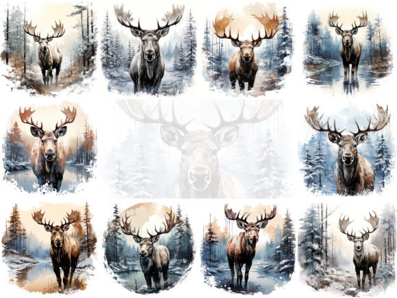 Moose in Winter Clipart: Editorial Illustrations Review