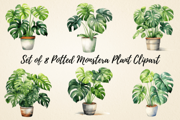 Potted Monstera Plant Watercolor Clipart Illustrations