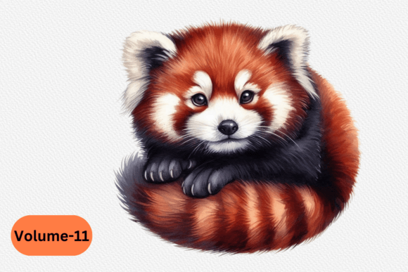 Red Panda Watercolor Clipart Volume 11 Illustrations