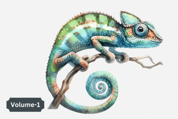 Watercolor Chameleon Clipart Volume 1: Editorial Illustrations