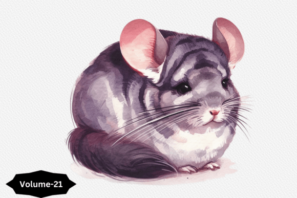 Watercolor Chinchilla Clipart Vol 21 Illustrations
