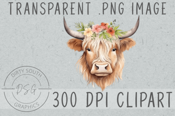 Watercolor Floral Boho Highland Cow Illustrations Review
