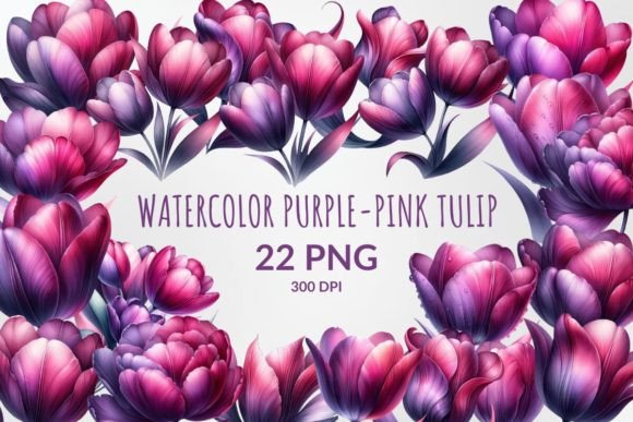 Watercolor Purple-pink Tulip Illustrations for Editorial