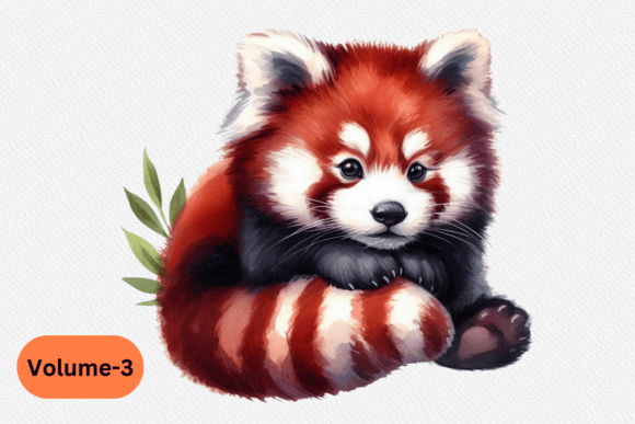 Watercolor Red Panda Art Volume –3 Illustrations Review