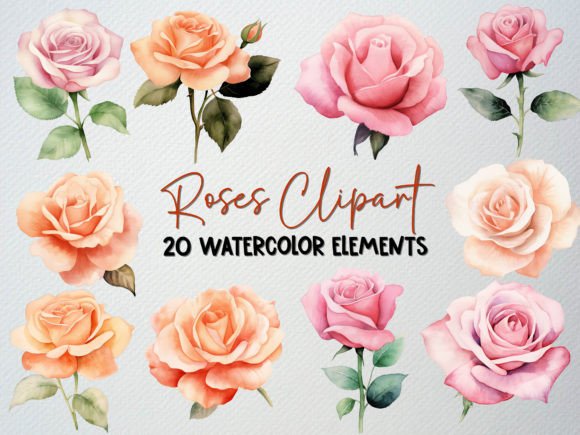 Watercolor Roses Clipart Set: 20 PNG Illustrations Review