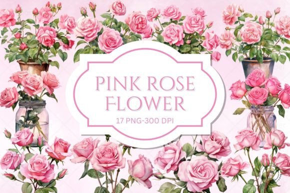 Watercolor Valentine Pink Rose Clipart: Illustrations Review