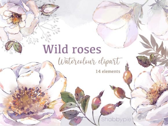 Wild Roses Watercolor Clipart: Illustrations for Branding